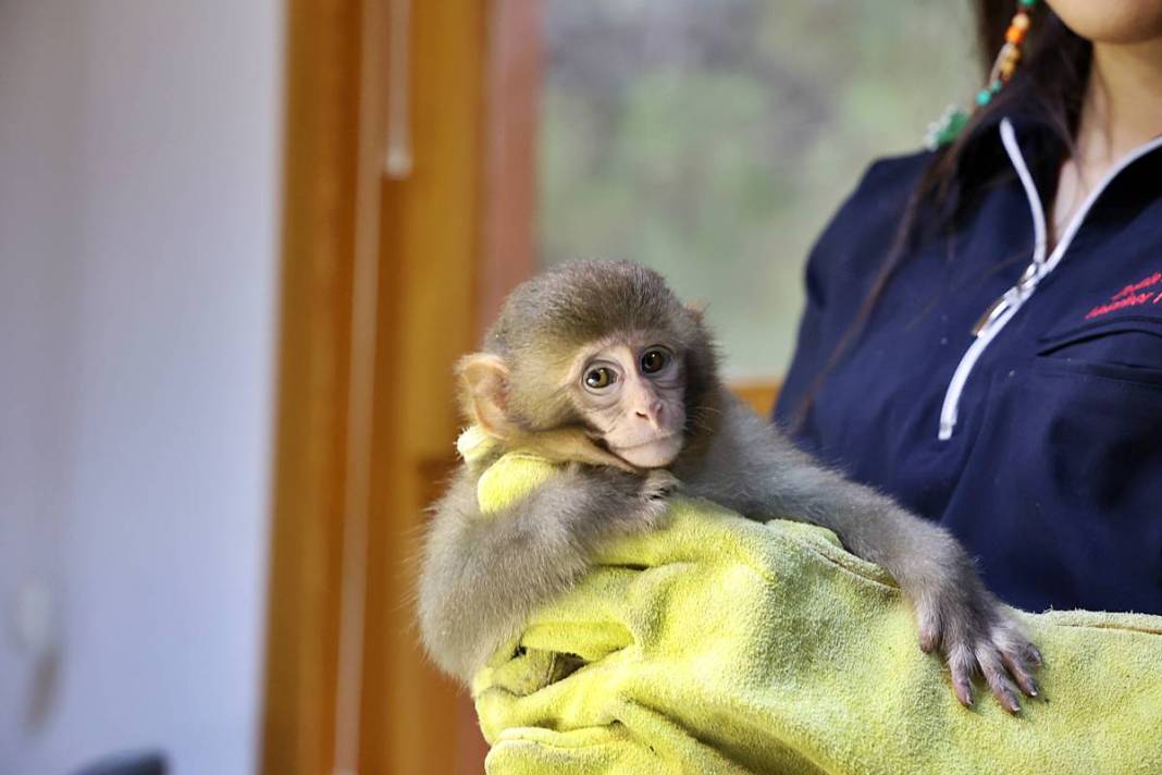 Otobüsle gönderilen koliyi kimse almayınca şoke eden gerçek ortaya çıktı! Hiç kimse bu kadar absürtlüğü tahmin edemezdi 3